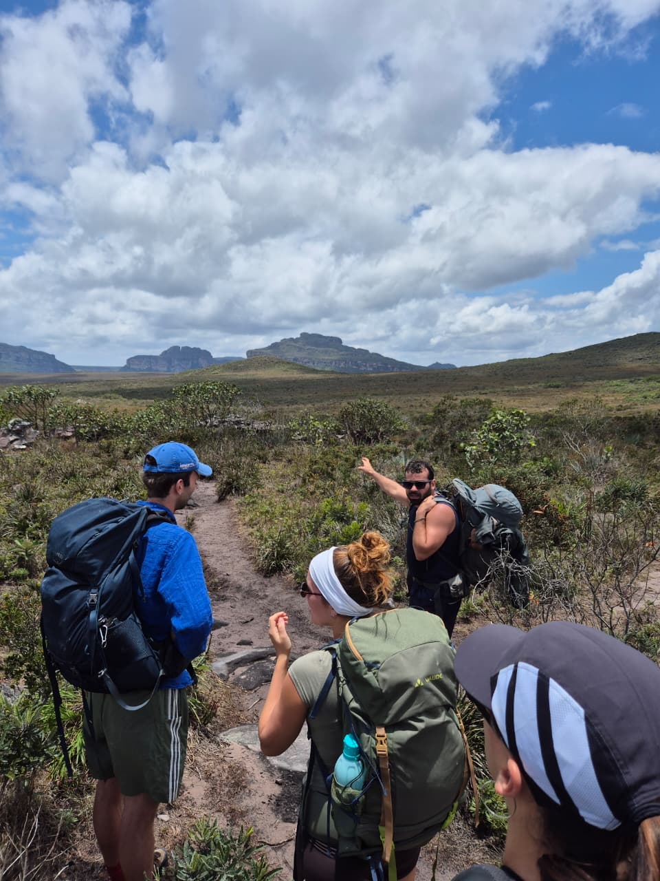 Lush green landscape and diverse flora of Chapada Diamantina ecosystem